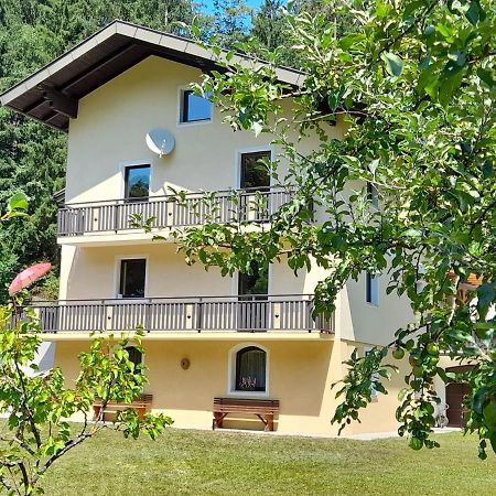 Haus Am Schloss Блайбург Екстериор снимка