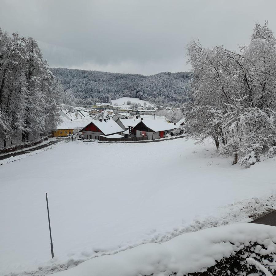 Haus Am Schloss Блайбург Екстериор снимка