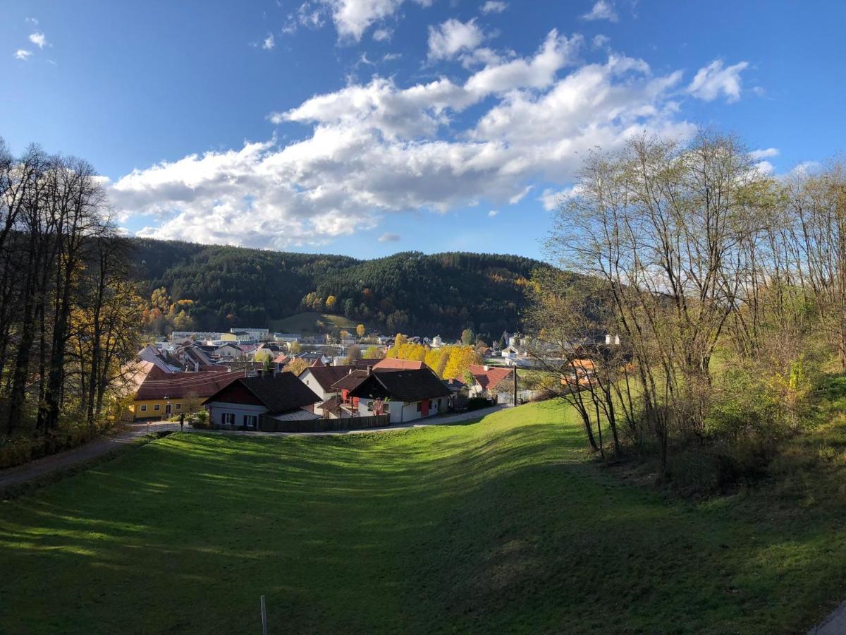 Haus Am Schloss Блайбург Екстериор снимка